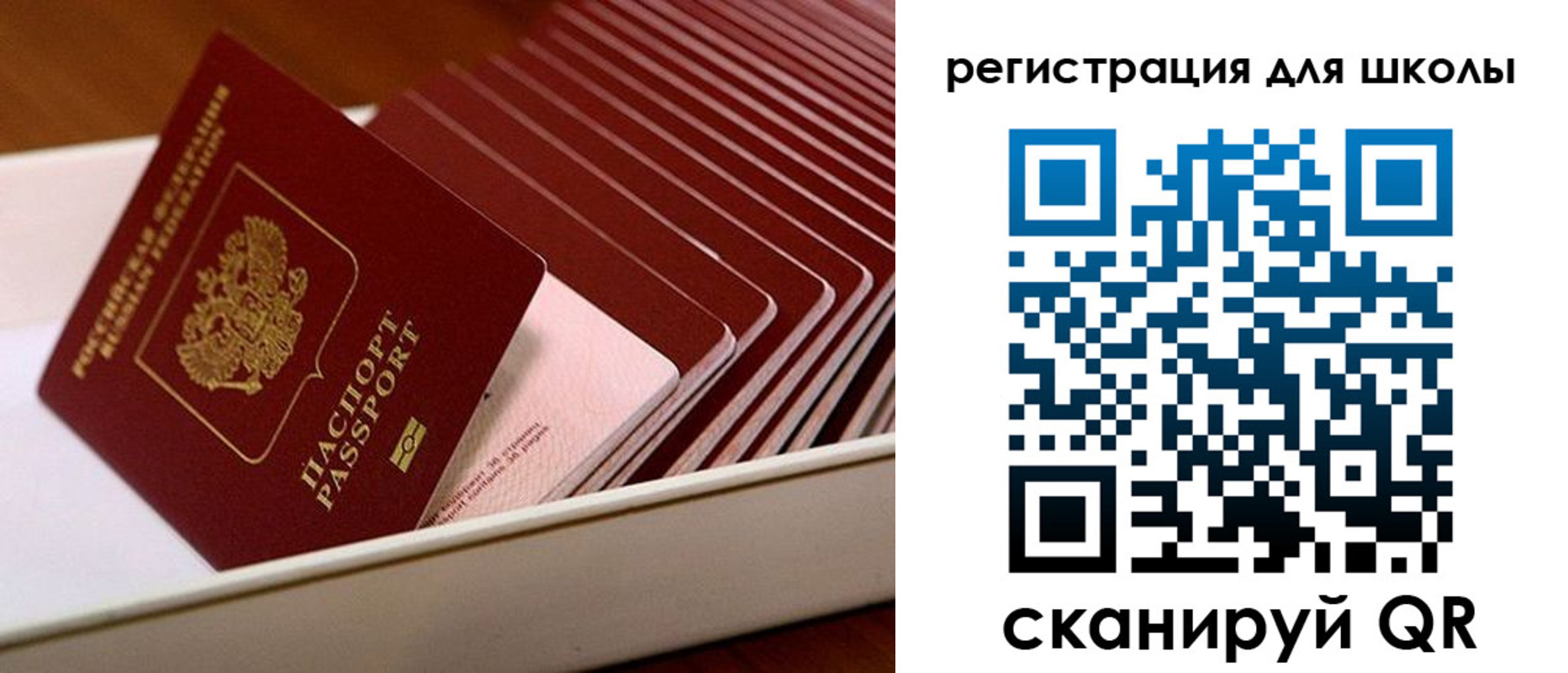 прописка гарантия в Луге